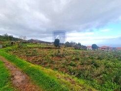 Ver detalhes: Venda: Terreno Rústico Não Definido