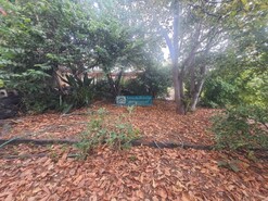 Ver detalhes: Venda: Terreno Rstico