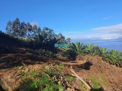 Ver detalhes: Venda: Terreno Rstico