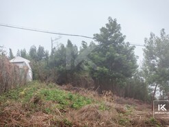 Ver detalhes: Venda: Terreno Rstico