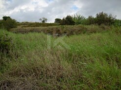 Ver detalhes: Venda: Terreno Rstico