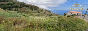 Show profile: Sell: Rustic Land T0