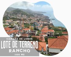 Ver detalhes: Venda: Terreno Rstico