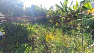 Ver detalhes: Terreno Rústico para venda